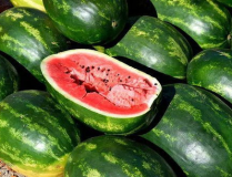 吃瓜娱乐圈素材图片高清,高清素材揭秘明星幕后生活