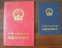 权证交易,金融衍生品市场的创新与风险
