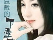 冷面总裁的下堂妻,下堂妻的逆袭之路