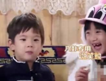 娱乐小葱花明星吃瓜,娱乐圈幕后真相曝光
