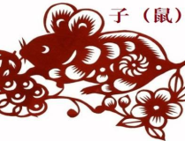 七情六欲是什么生肖,探寻七情六欲背后的生肖密码