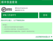 顺风快递查,速度与服务的双重保障，打造快递行业新标杆”